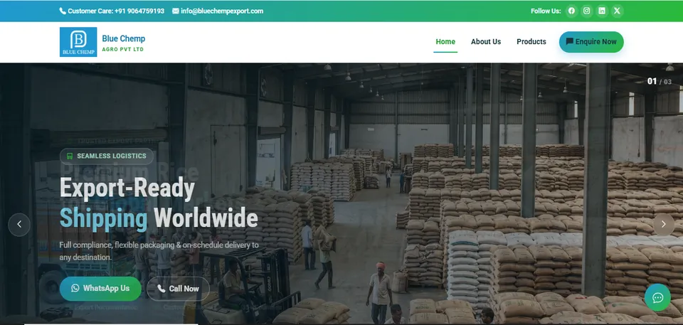 Blue Chemp Export website preview